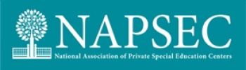napsec_1.jpg
